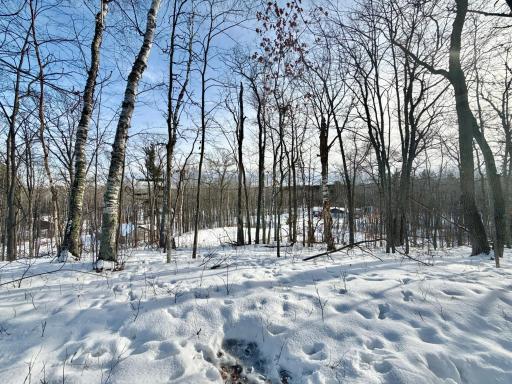 480 Ridgeway Lane, Walker, MN 56484