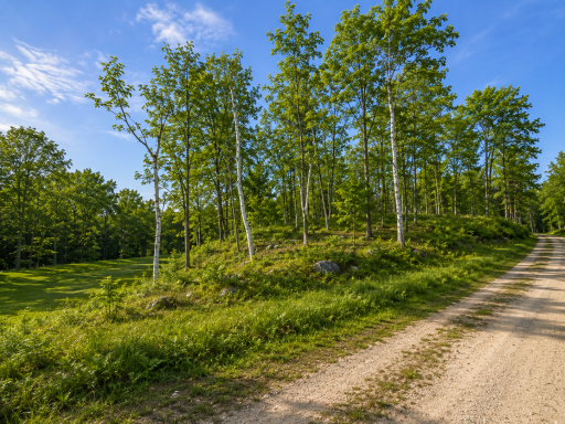 480 Ridgeway Lane, Walker, MN 56484