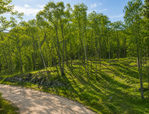 480 Ridgeway Lane, Walker, MN 56484