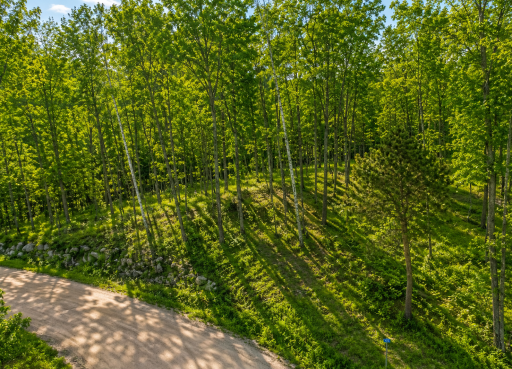 480 Ridgeway Lane, Walker, MN 56484