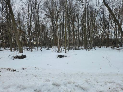Lot 1, Block 3 2 1/2 Avenue NE, Saint Stephen, MN 56375