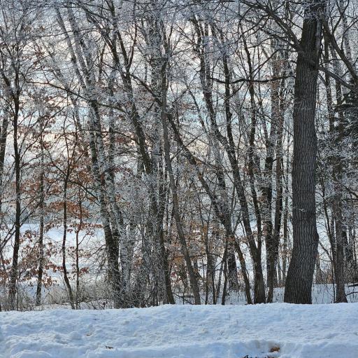 Lot 4, Block 3 2 1/2 Avenue NE, Saint Stephen, MN 56375
