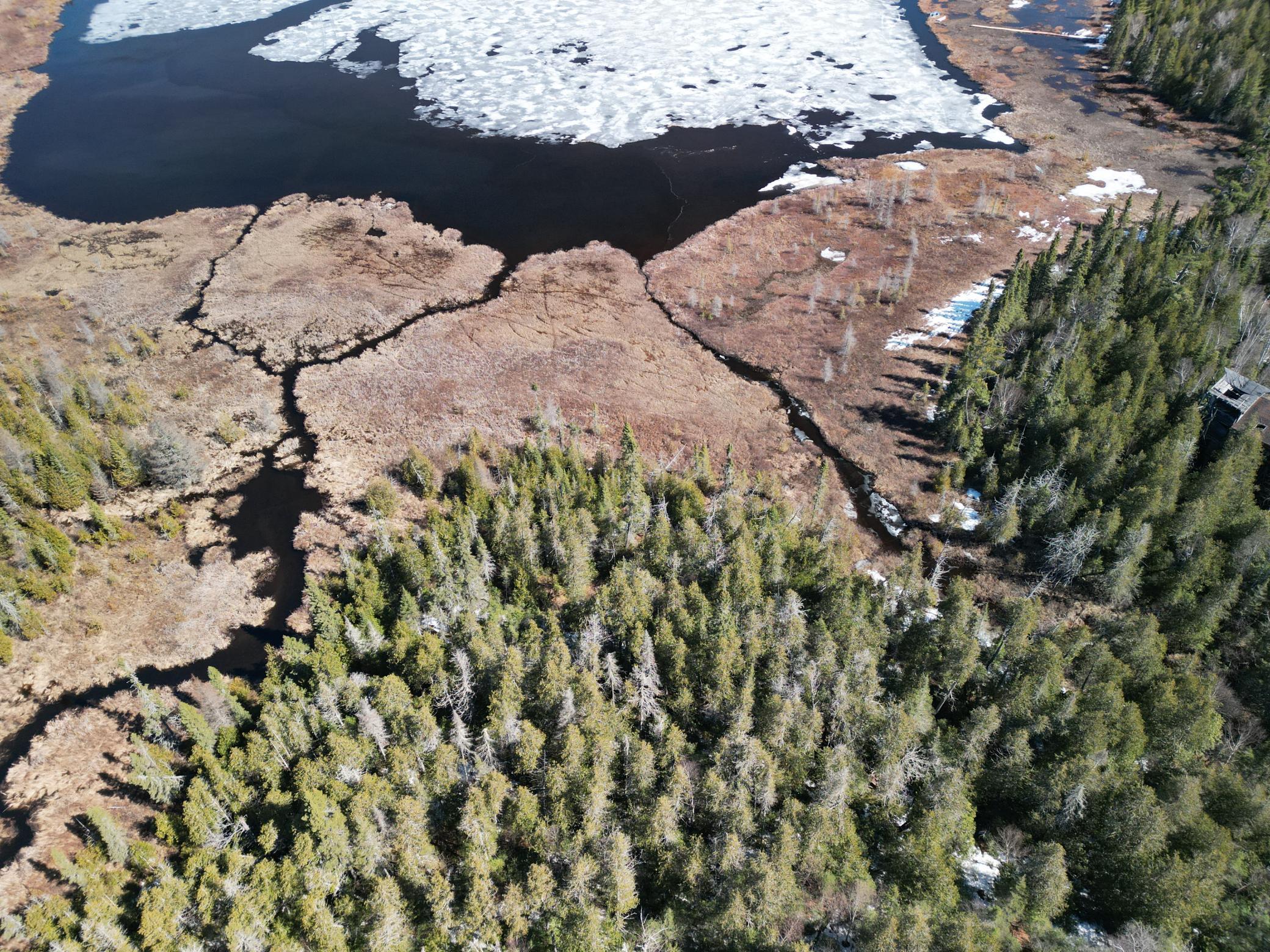 DJI_0991.JPG