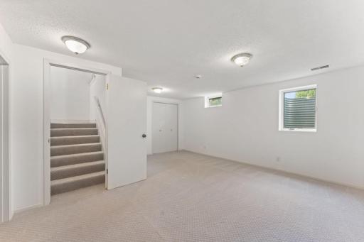 Lower level family room