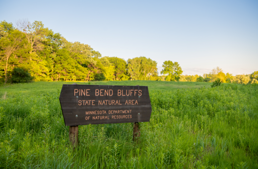 There are over 20 parks in Rosemount. With play areas for the kids, natural hiking trails, horse trails and miles of mountain bike trails.