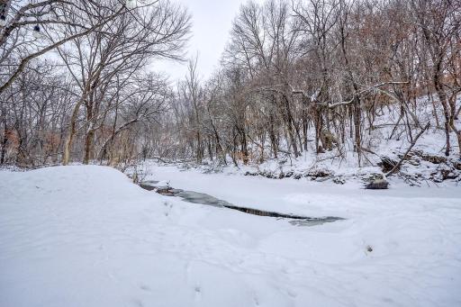 Purgatory Creek, can you see the tracks of the deer & turkey?
