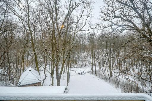 View of the Yard from Private Upper Level Balcony