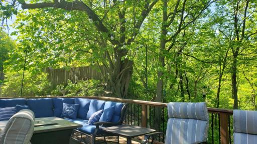 Lush Green Privacy Screen makes the Deck a quiet place to relax