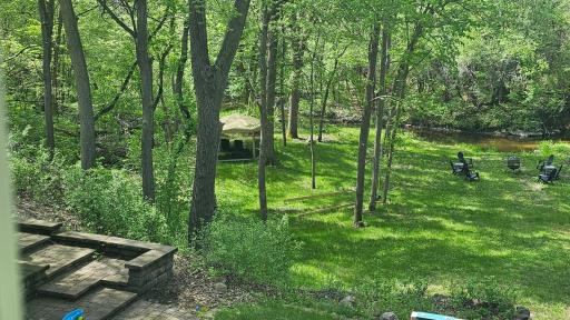 Back Yard in the Spring