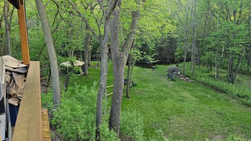 Gentle slope down the creek