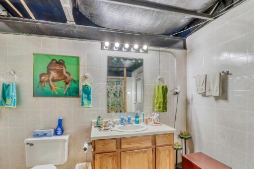 Basement Bathroom1_1.JPG