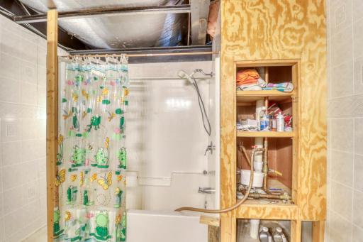 Basement Bathroom1_2.JPG