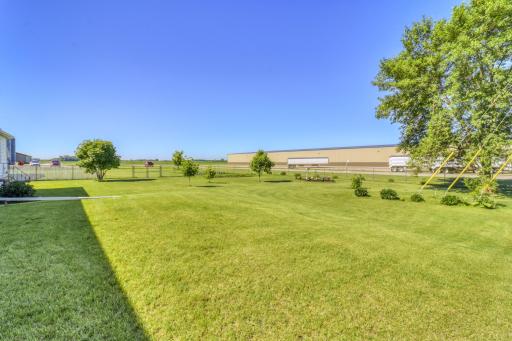 Backyard1_2.JPG