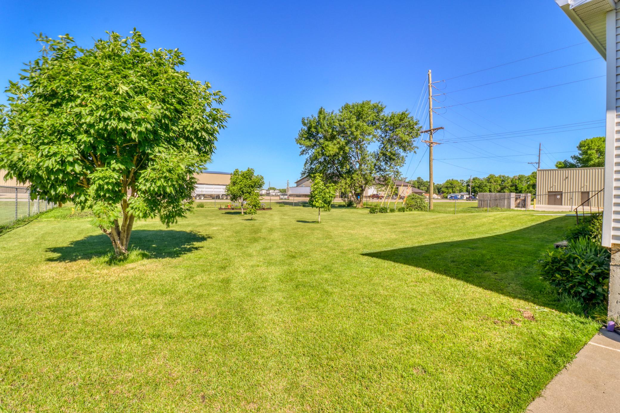 Backyard1_1.JPG