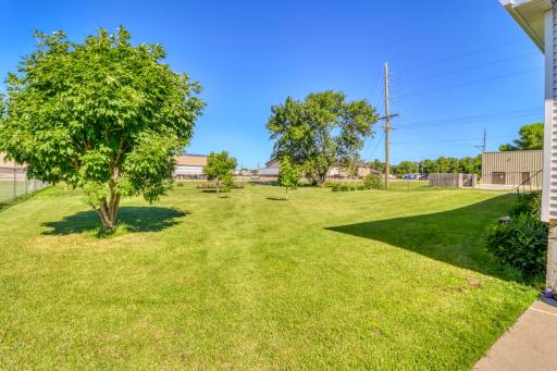 Backyard1_1.JPG