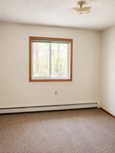 6717 Old Sawmill Road, 101, Harris, MN 55032