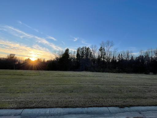 Sunlight falls gently on ground meant for building dreams.