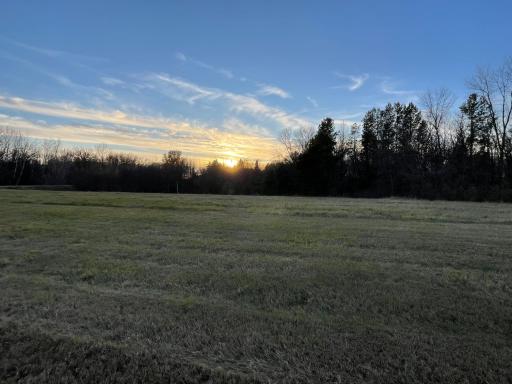 The untouched lot offers a peaceful foundation for tomorrow.