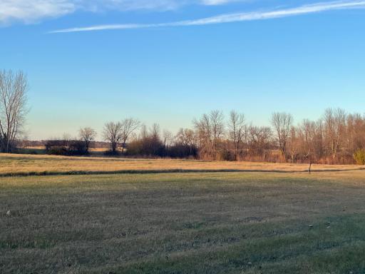 Nature surrounds the lot, welcoming a fresh start.