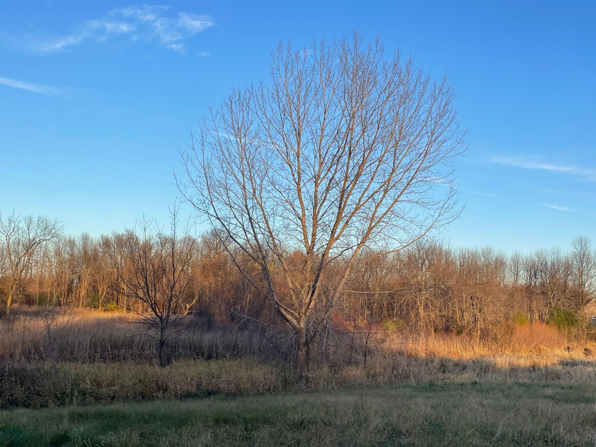 Bare ground today, a cherished home tomorrow.