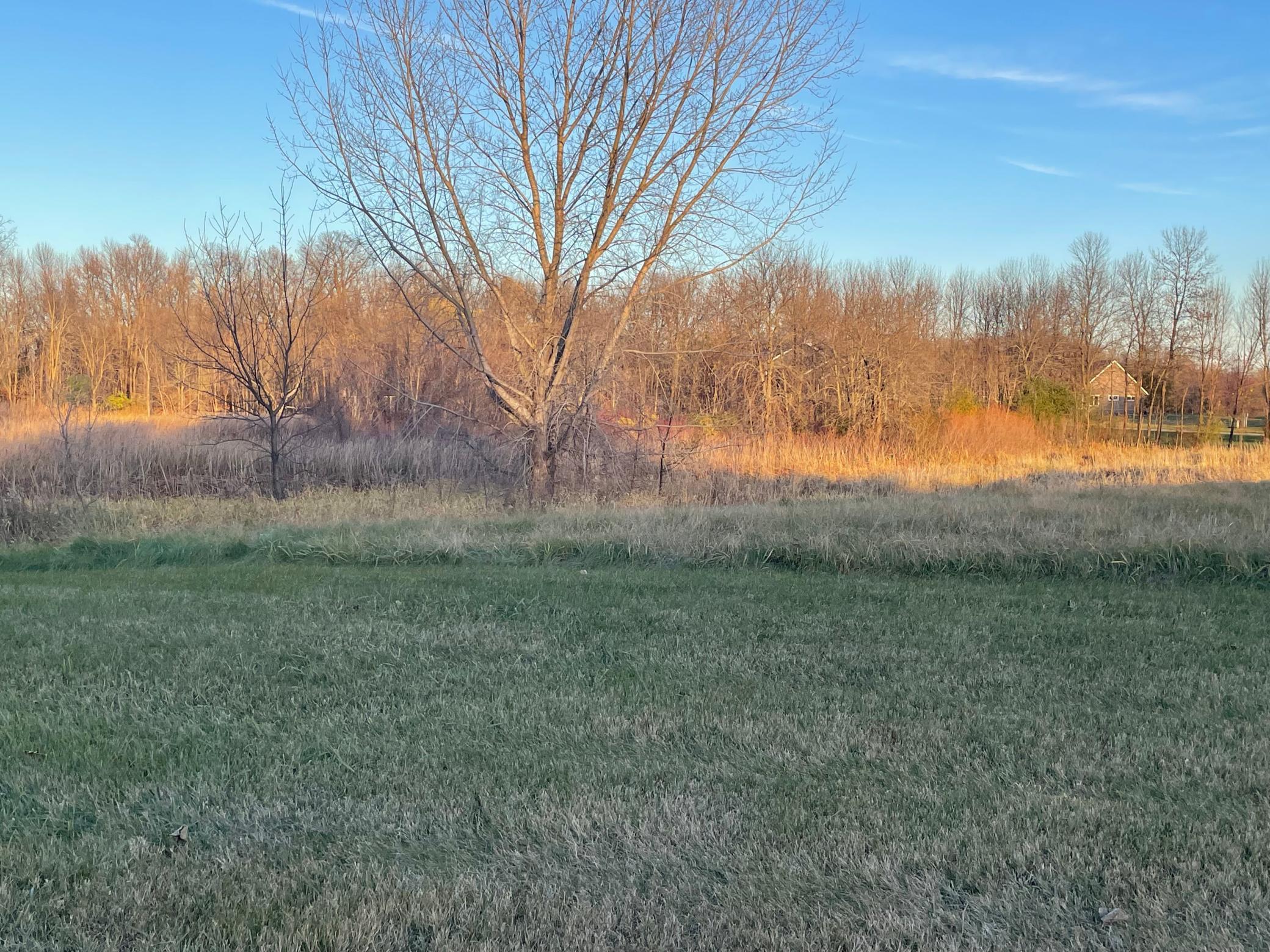 Sunlight stretches across the open land, waiting for a home to rise.