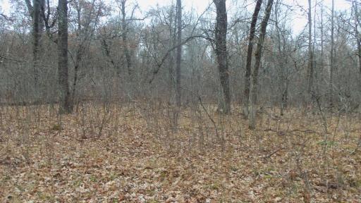 Lot 6 Canute Creek Trl, Grantsburg, WI 54840