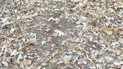 Lot 6 Canute Creek Trl, Grantsburg, WI 54840