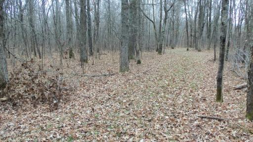 Lot 6 Canute Creek Trl, Grantsburg, WI 54840