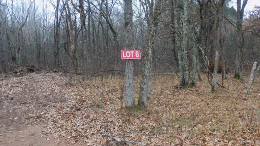 Lot 6 Canute Creek Trl, Grantsburg, WI 54840