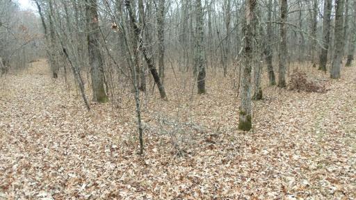 Lot 6 Canute Creek Trl, Grantsburg, WI 54840