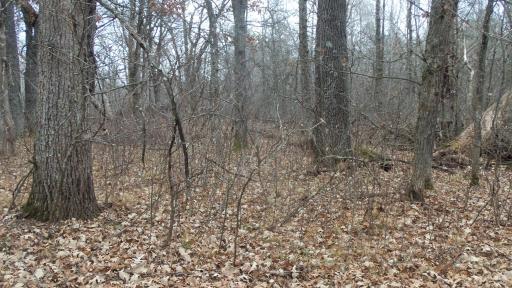 Lot 6 Canute Creek Trl, Grantsburg, WI 54840