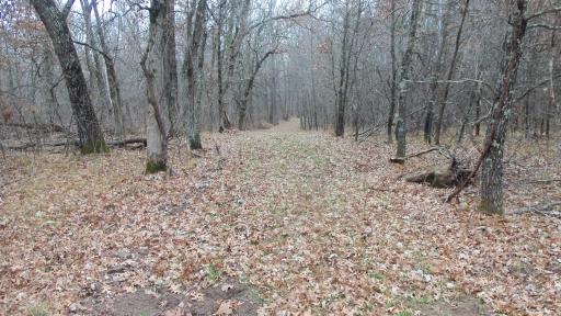 Lot 6 Canute Creek Trl, Grantsburg, WI 54840