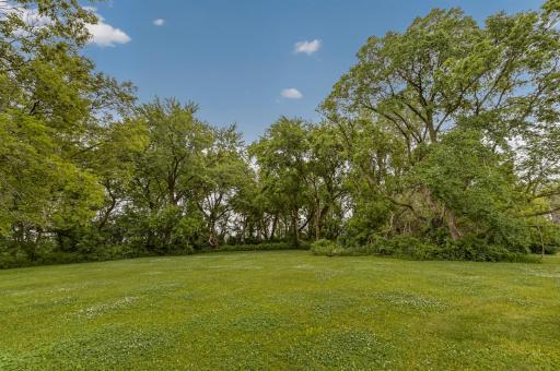 DSC_4169.jpg
