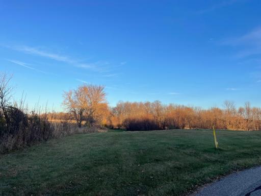 A blank canvas of land invites imagination to take shape.