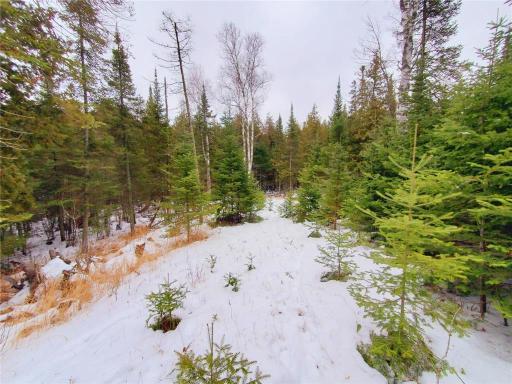 XX40 Lavaque Road, Duluth, MN 55802