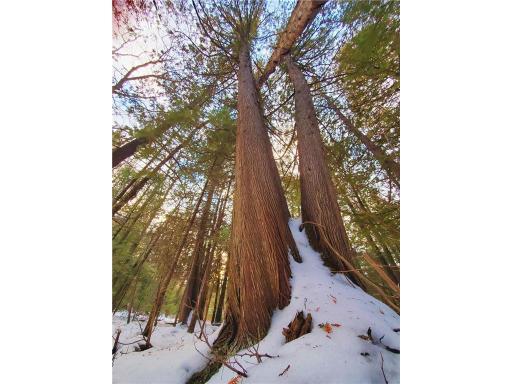 XX40 Lavaque Road, Duluth, MN 55802