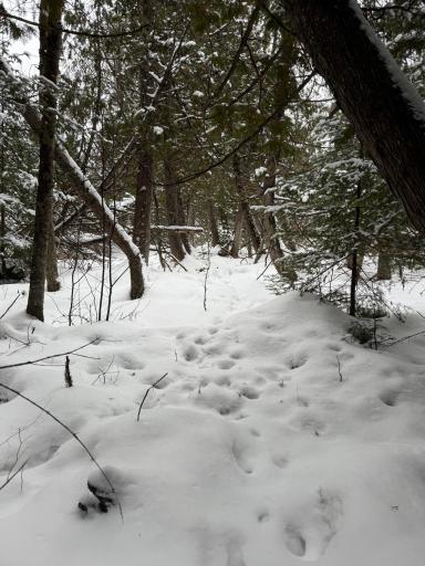 XX40 Lavaque Road, Duluth, MN 55802