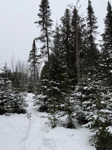 XX40 Lavaque Road, Duluth, MN 55802