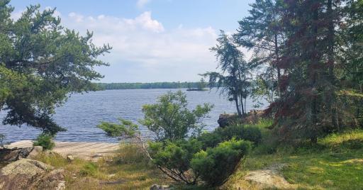 2276 Town Road 342, International Falls, MN 56649