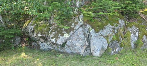 2276 Town Road 342, International Falls, MN 56649