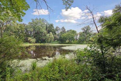 6004 Arbour Lane, Minneapolis, MN 55436