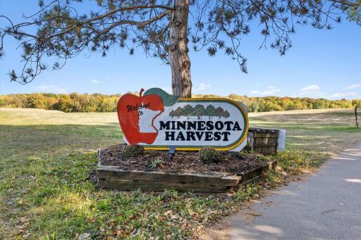 Pick your own apples at Minnesota Harvest Orchard in Jordan