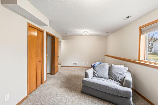 Large, flexible lower level family room