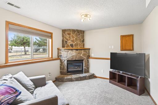 Lower level family room space with gas burning fireplace
