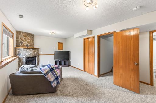 Large, flexible lower level family room