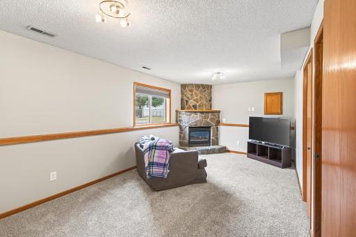Large, flexible lower level family room