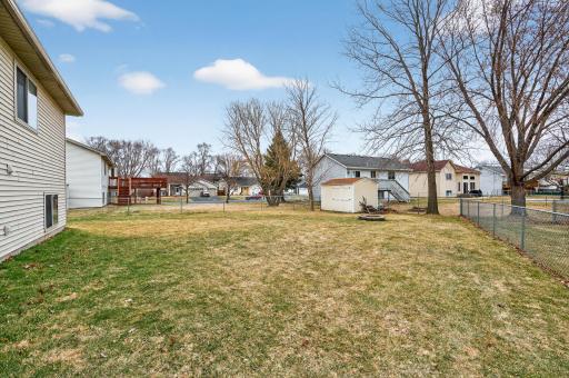 Flat backyard to roam and play