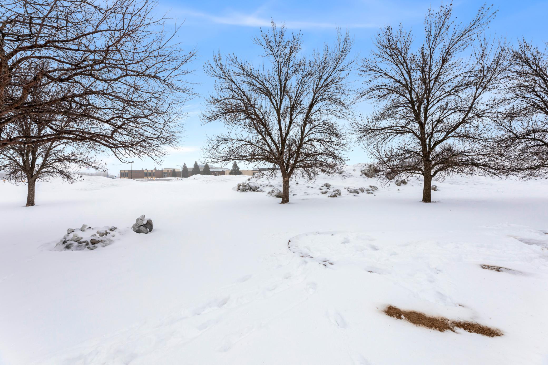 Backyard-view1 no neighbors