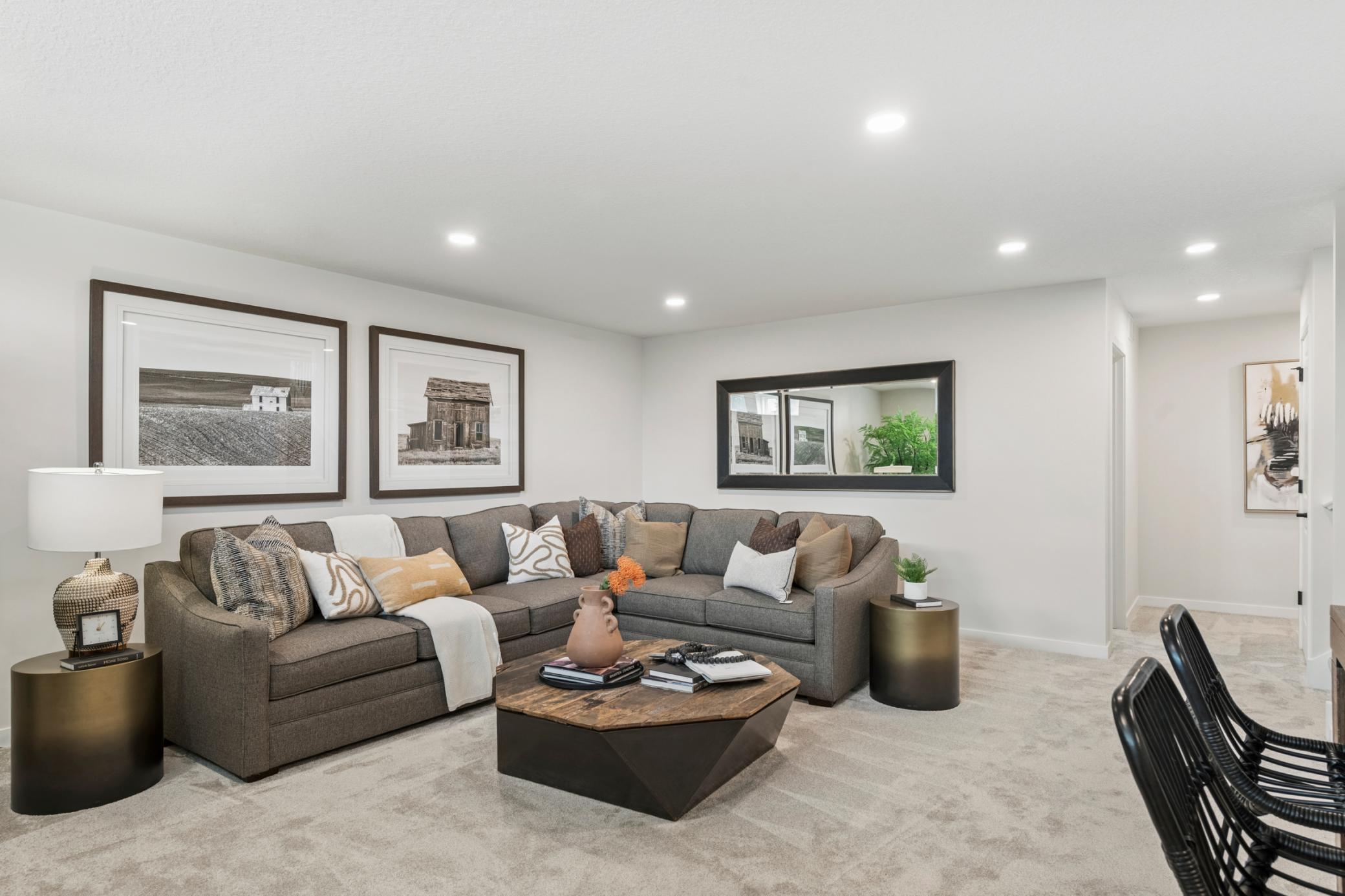 Finished Lower Level