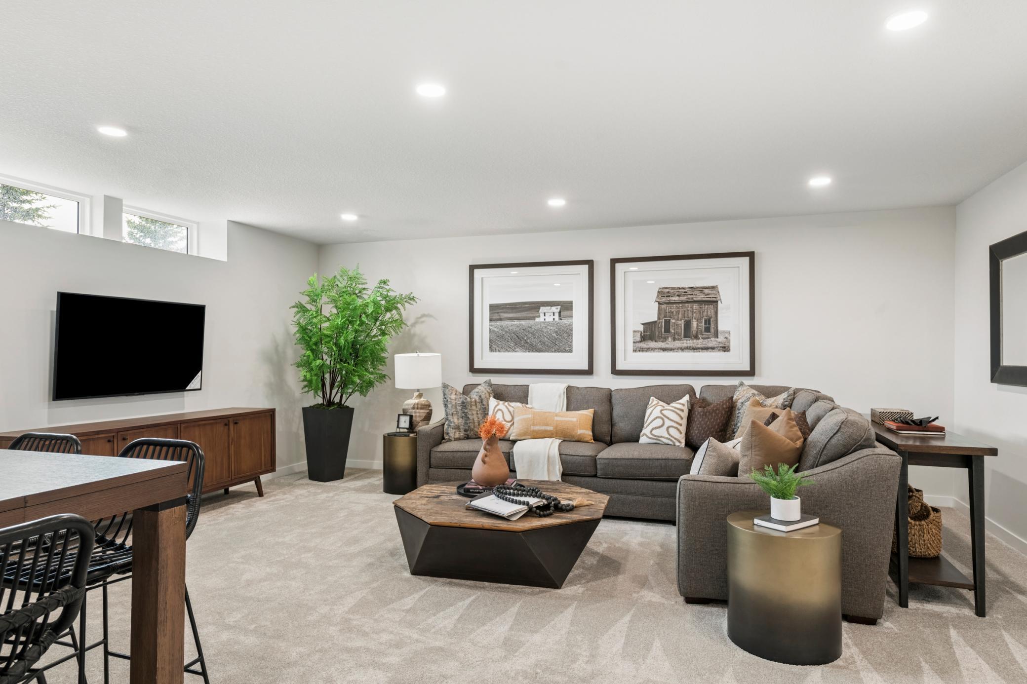 Finished Lower Level